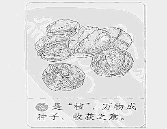 亥水是什么意思