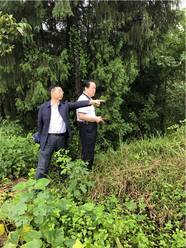 墓地风水师裴翁先生，为四川省绵阳市一客户到墓地现场作旺丁旺财风水策划。
